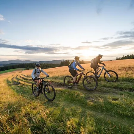 Restaurant Zur Sonne 4*