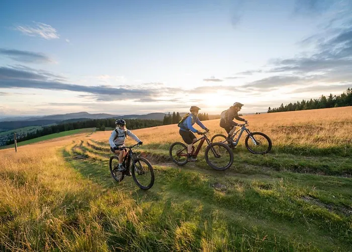 Restaurant Zur Sonne 4*